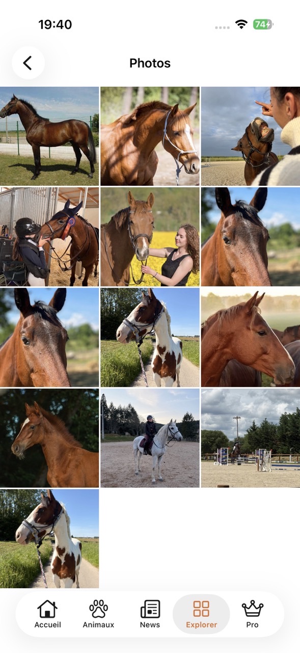 Photos taguées de la race