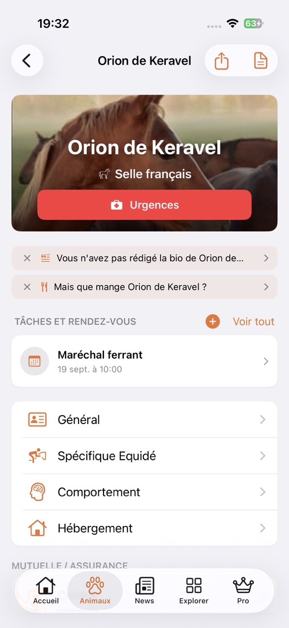 Fiche du cheval Orion de Keravel