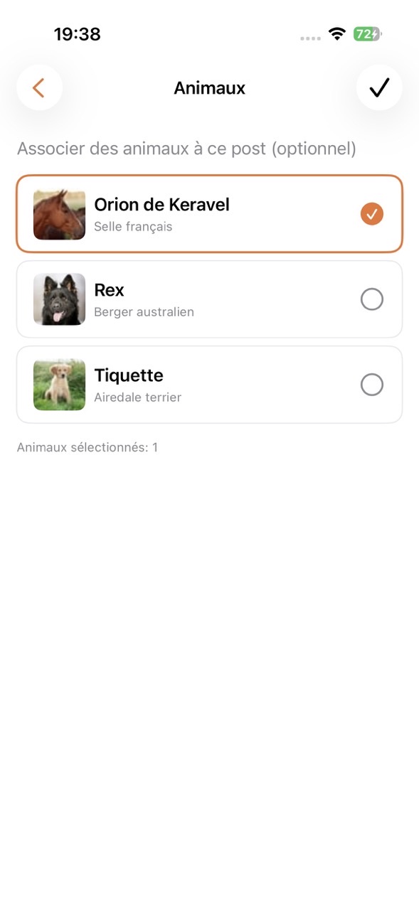 Cheval associé à la publication